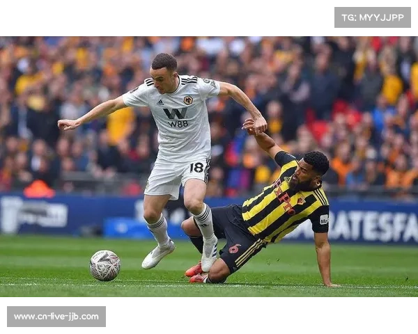 乌迪内斯主场5场不败遭终结，状态出现起伏